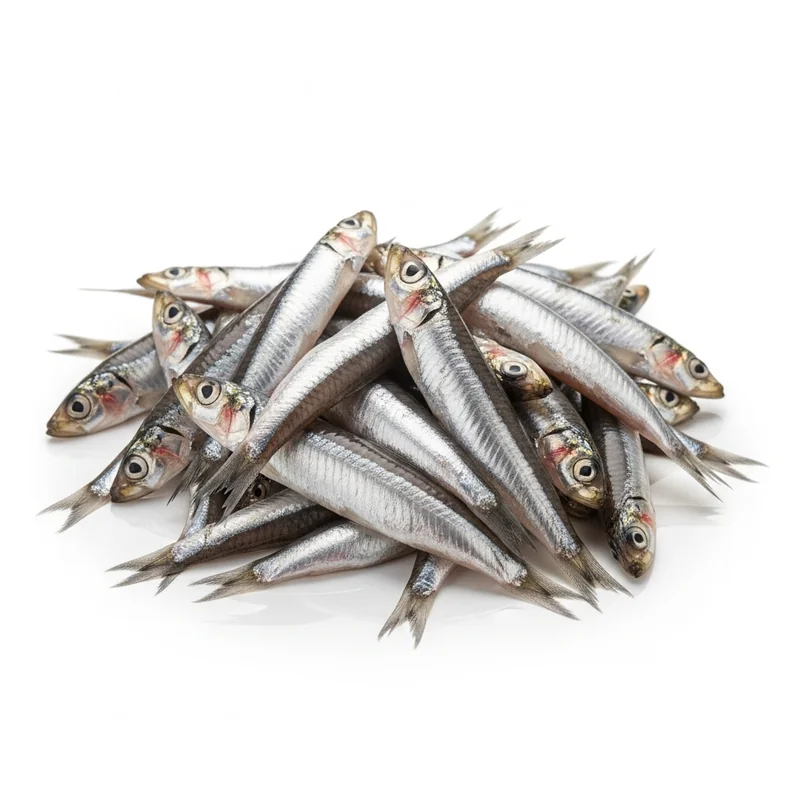 Hamsi besin değerleri - 1 adet (4g) başına 8 kalori