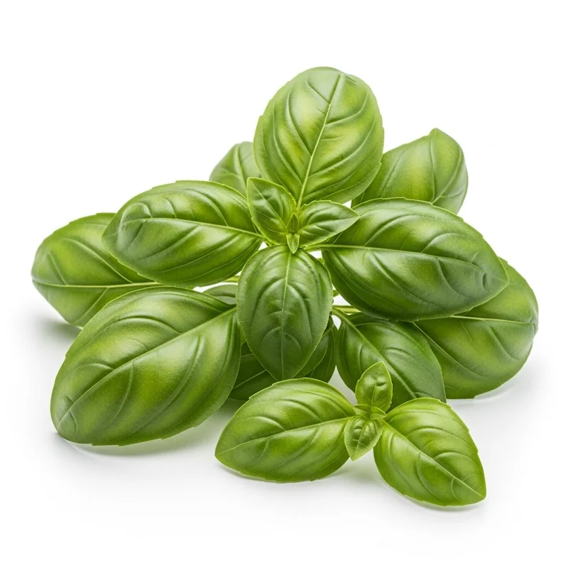 Fesleğen besin değerleri - 1 porsiyon (5g) başına 1 kalori