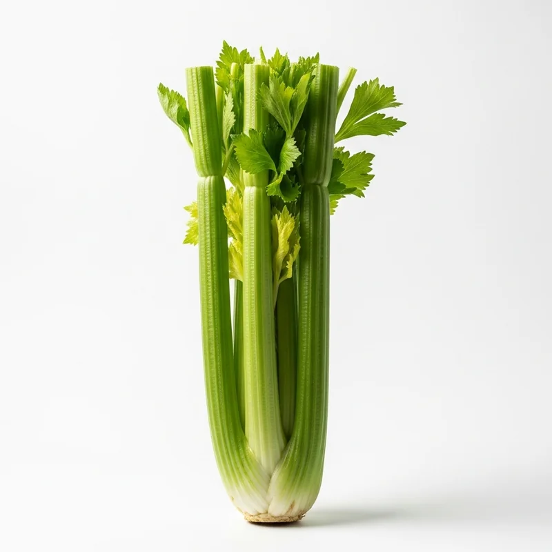 Kereviz Sapı besin değerleri - 1 porsiyon (40g) başına 7 kalori