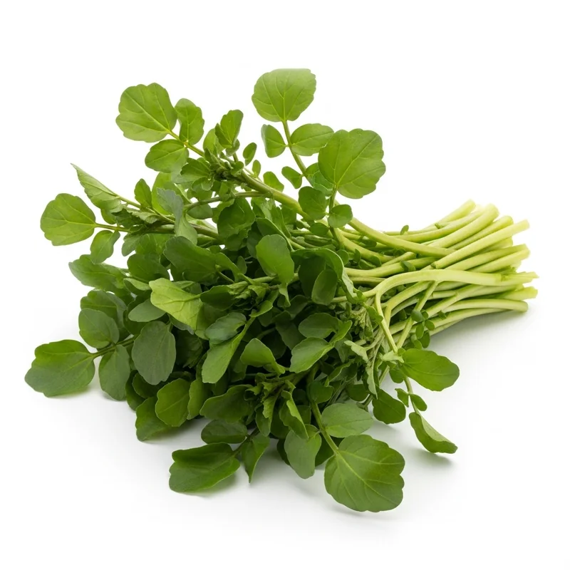 Su Teresi besin değerleri - 1 porsiyon (25g) başına 3 kalori