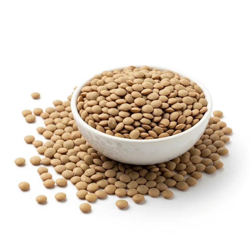 Yeşil Mercimek besin değerleri - 1 porsiyon (240g) başına 266 kalori