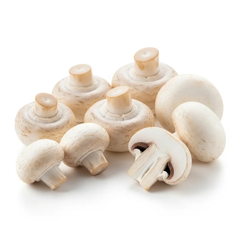 Mantar (Beyaz) besin değerleri - 1 porsiyon (10g) başına 2 kalori